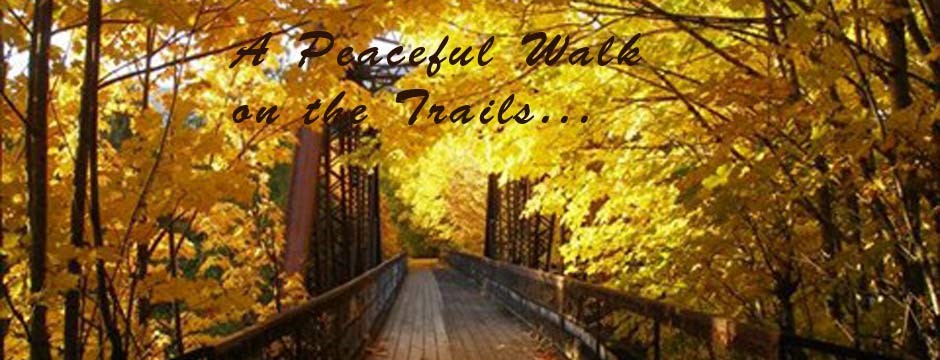 walk