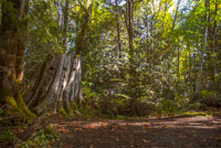 A section of Friendship Park walking trail